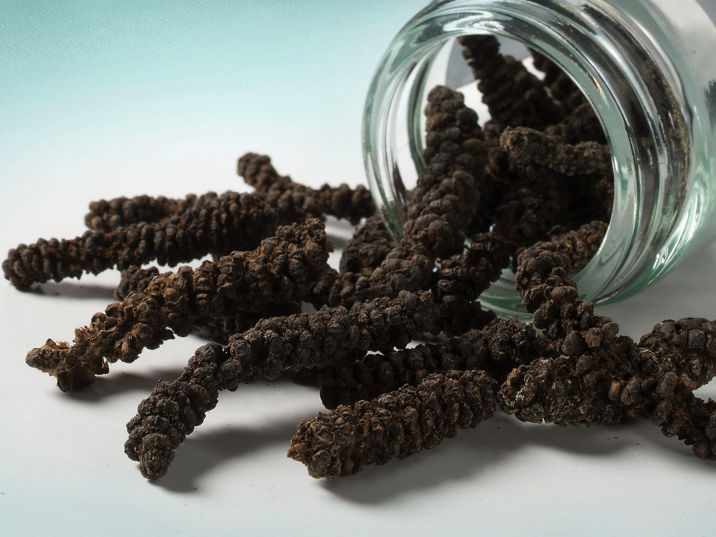 Pepř africký dlouhý 40g