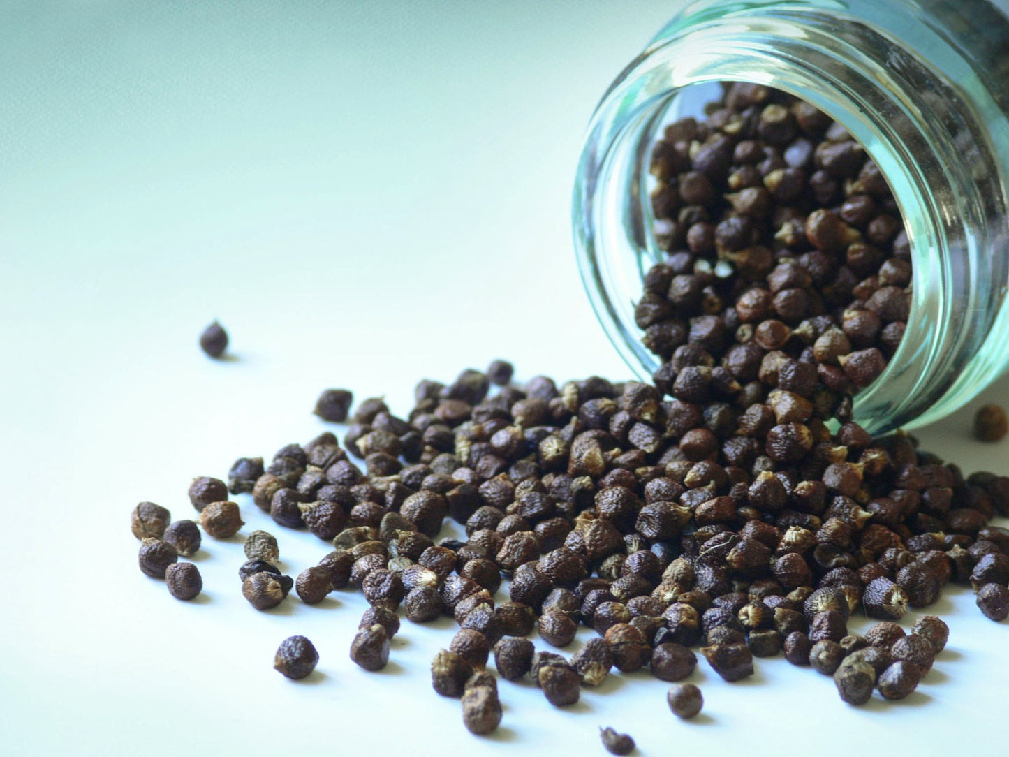 Pepř Malagueta - Zrnka ráje 40g