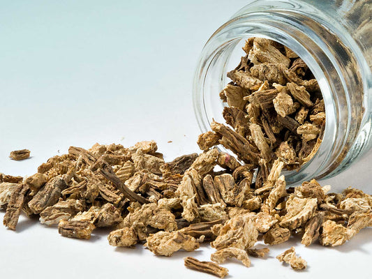 Kořen anděliky 30g