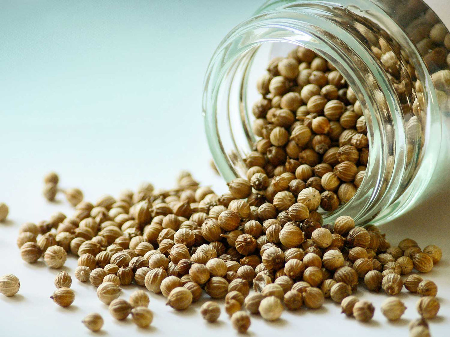 Semínka koriandru 30 g