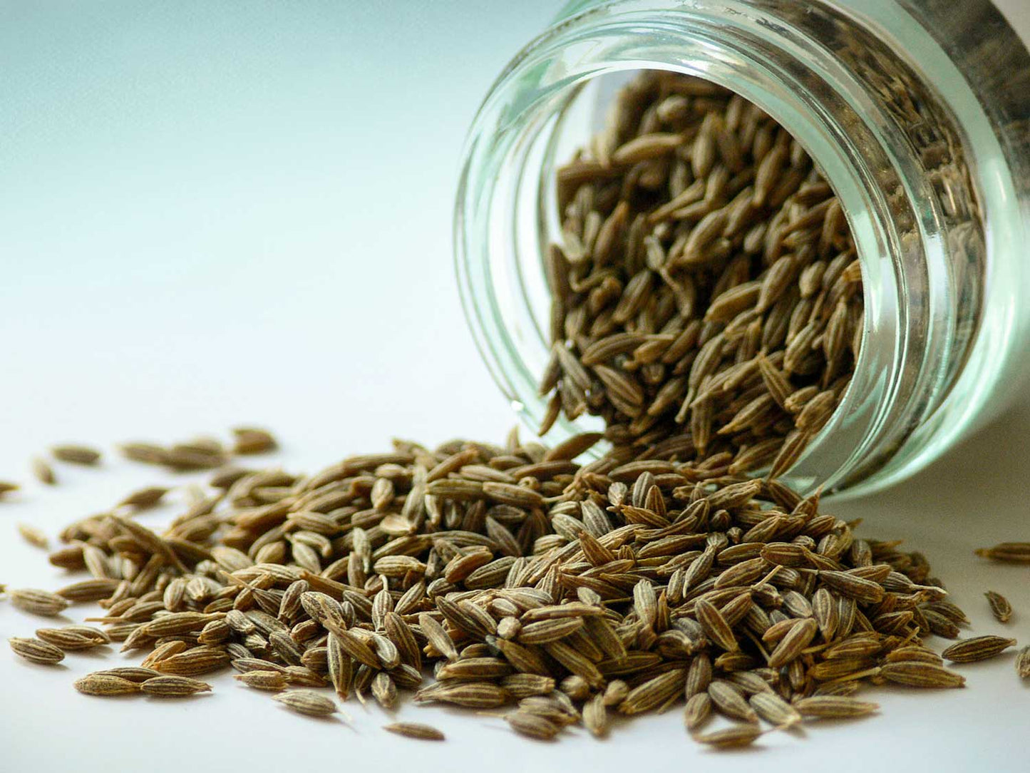 Semínka kmínu 50 g