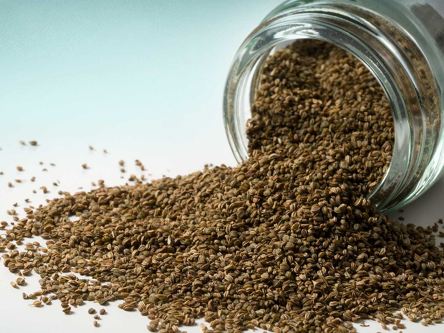 Celerová semínka 50 g